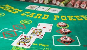 padu668